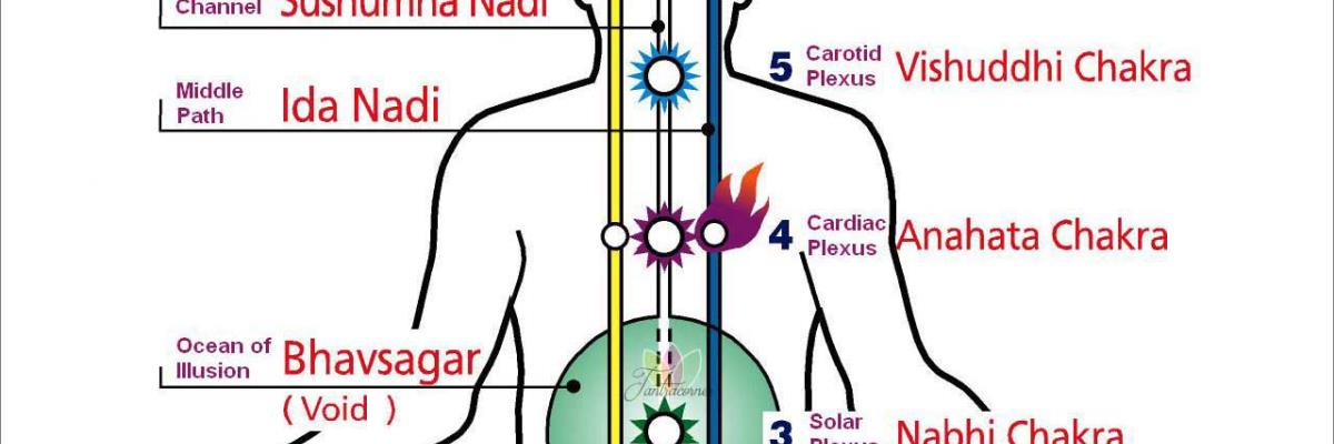 cosa sono le nadi nel massaggio tantra yoni